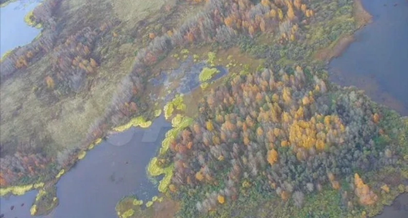 Костромичи за 40 миллионов рублей могут купить собственный остров