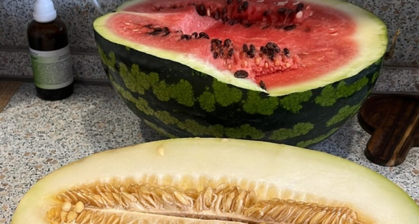 Отрава на прилавке: Роскачество рассказало, какие дыни точно не стоит покупать