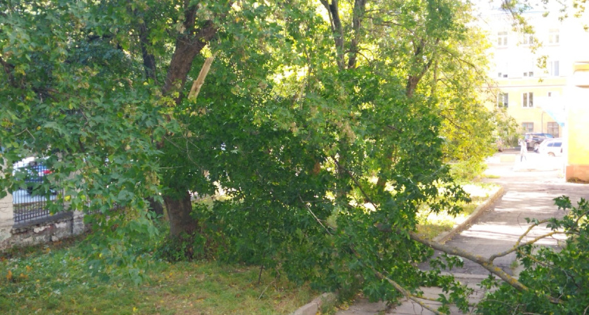 В Костромской области 27 и 28 сентября  ожидается сильный шторм