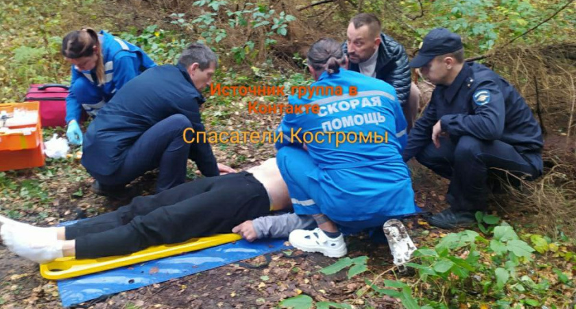 В Костромской области мотоциклист катался по лесу и врезался в дерево