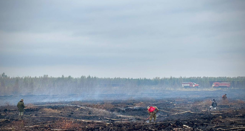 В Костромском районе загорелись торфяники на площади 3 га