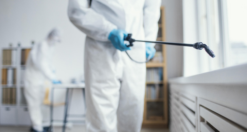 В Костроме начался месячник по истреблению крыс и мышей