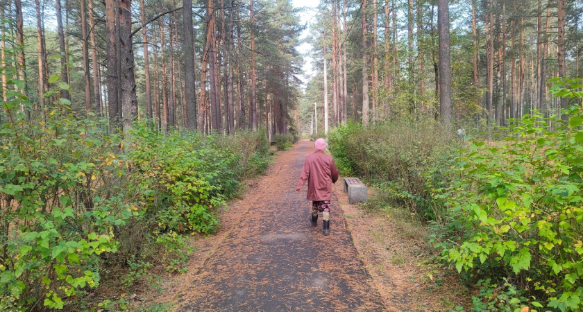 Бабье лето ворвётся без стука: синоптики предупредили - нас ждет аномальный сюрприз в начале октября