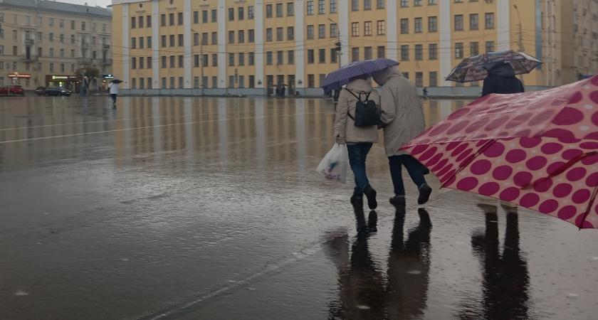 Костромичей предупреждают о сильном дожде и ветре