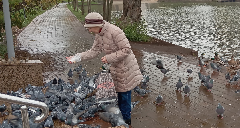 Бабье лето ворвётся без стука, словно долгожданный гость: синоптики рассказали, когда ждать внезапного тепла