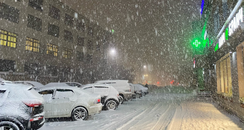 "Российские города утонут под рекордным количеством снега": Вильфанд дал прогноз до конца недели