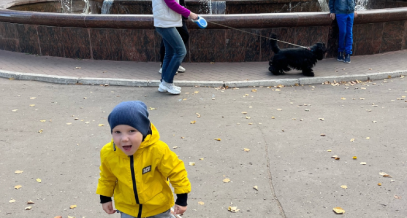 Бабье лето явится без стука: синоптики предупредили - нас ждет аномальный сюрприз в начале октября