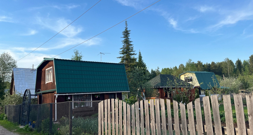 Высадил рядом с выгребной ямой и бед больше не знаю, откачка не нужна: работает как насос — не растение, а ассенизатор какой-то