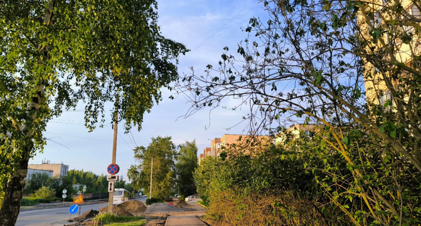 В Костроме на неделе ожидается солнечная погода