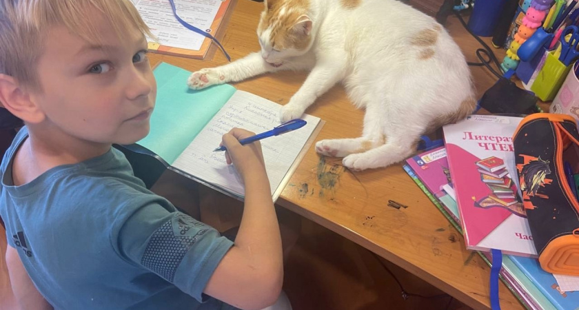 Ученые выяснили, у людей с какой группой крови рождаются самые умные и талантливые дети