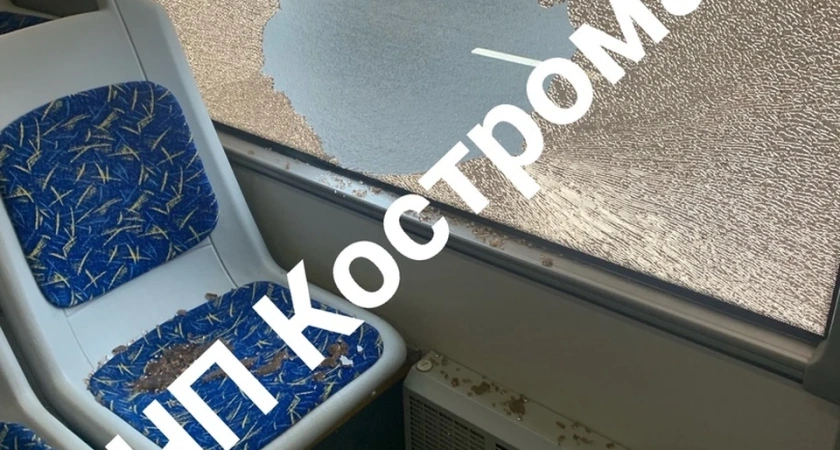 Костромской водитель перевозил на автобусе с разбитым стеклом пассажиров