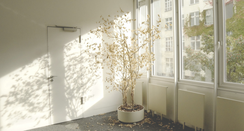 С 1 ноября установка пластиковых окон запрещена навсегда: не разрешат заменять - но есть одна тонкость