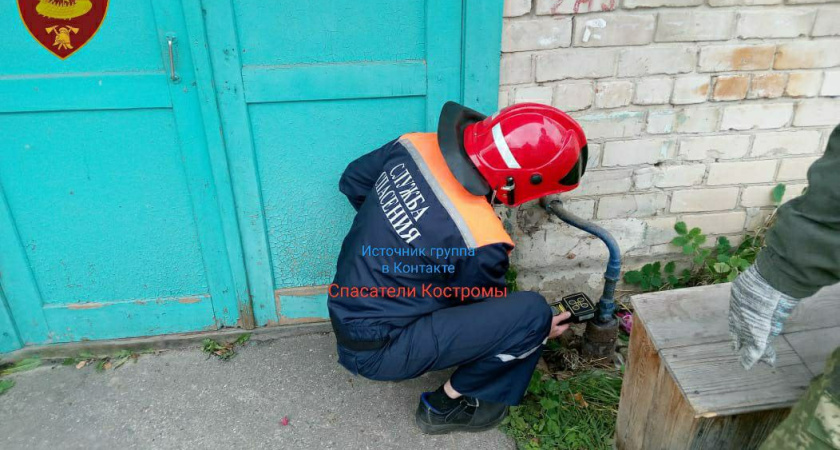 В Костромской области жильцы пожаловались на запах газа: спасатели нашли источник в виде тухлого мяса курицы