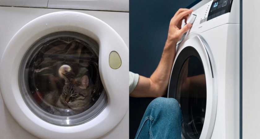 Скрытая кнопка на стиральной машине уменьшает счет за электричество до 62%: есть на каждой модели