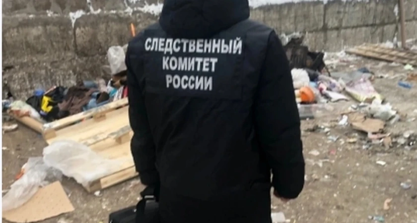 Костромичку оштрафовали за сокрытие зверского убийства с трупом в чемодане