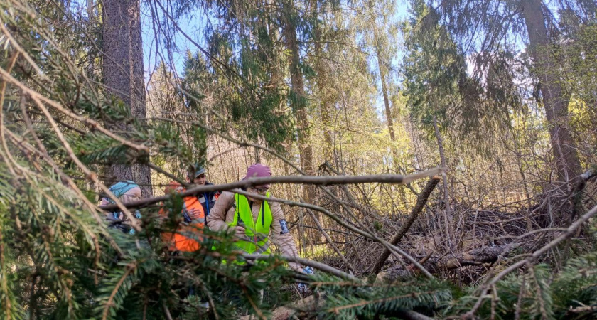 В Костроме заявили о пропаже 7-летнего ребенка
