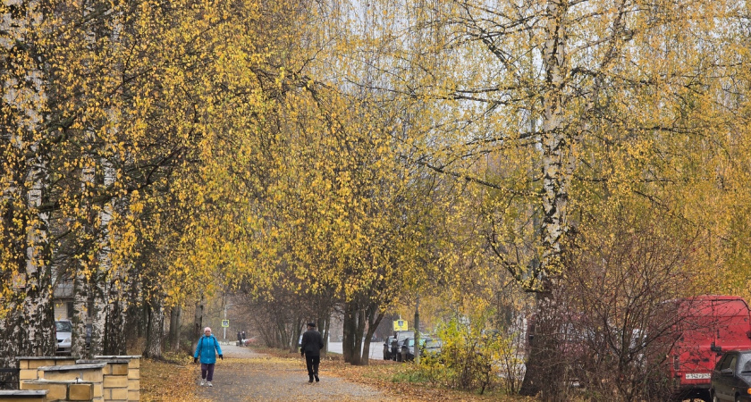 В Костроме синоптики прогнозируют похолодание на следующей неделе