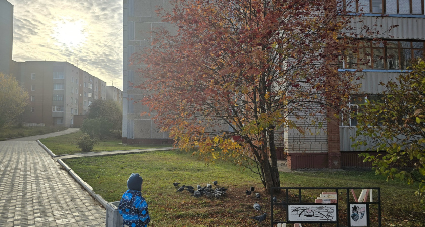 Синоптики срочно пересмотрели прогноз на ноябрь: Россию ожидает аномальная погода