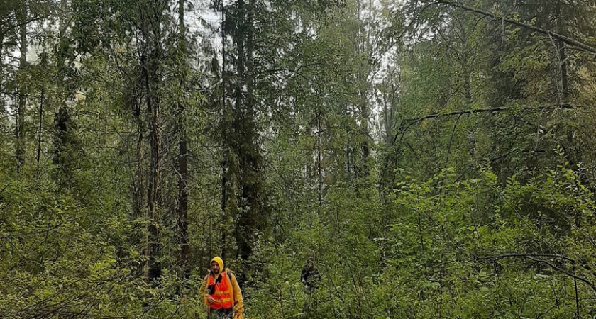 Юную зеленоглазую красавицу из Коми ищут в Костромской области
