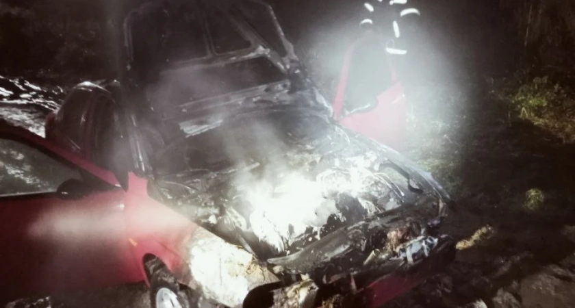 В Костромской области во время движения загорелся автомобиль