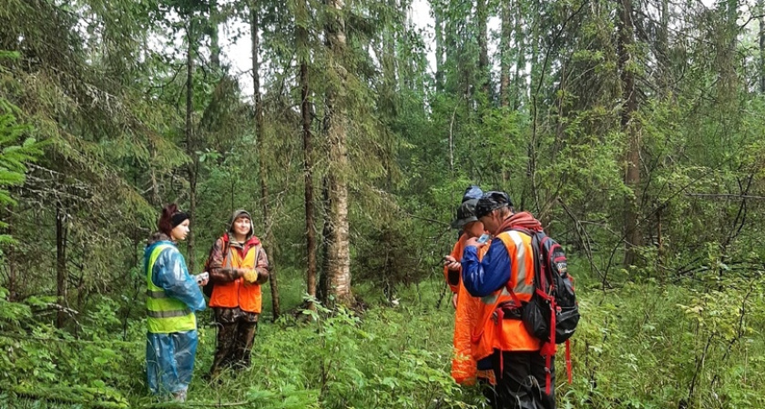 В Костроме разыскивают 68-летнюю голубоглазую брюнетку