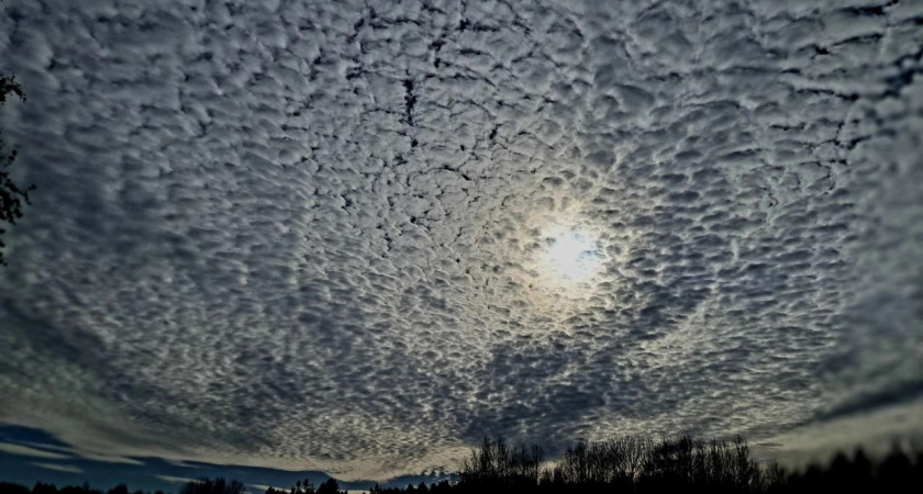 Приключения и успех: кому 2025 год принесет сплошную удачу – так распорядились звезды