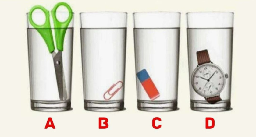 Вопрос с подвохом: ошибаются 99% людей – физика тут ни при чем