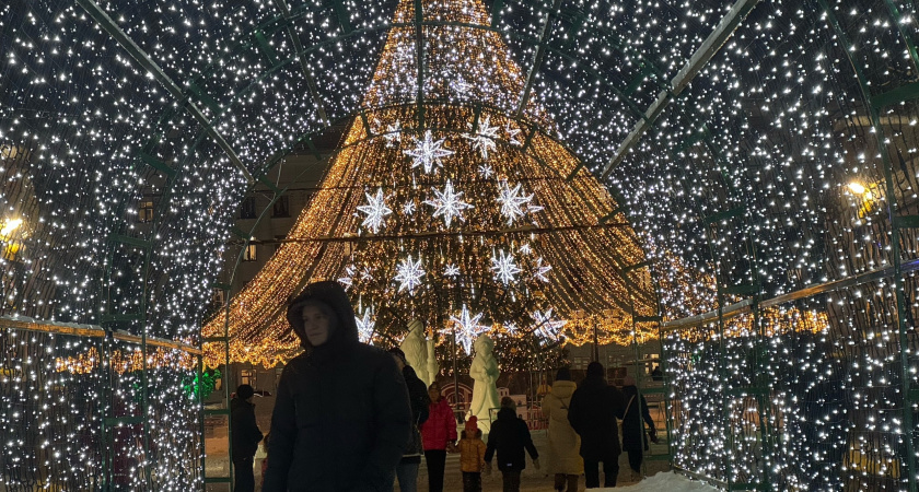 В России зима отменяется надолго: Роман Вильфанд дал окончательный ответ, ждать ли снега на Новый год