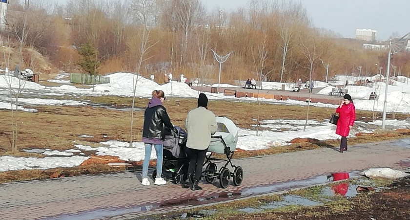 В Костроме в выходные потеплеет до плюс 6°С