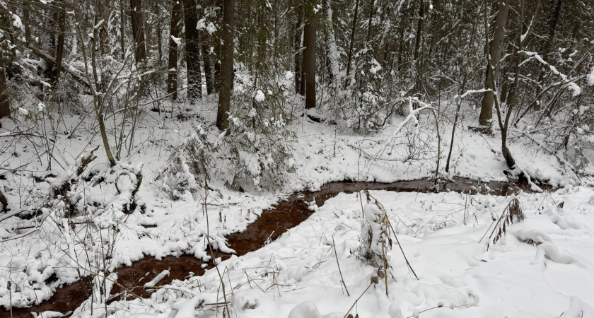 Шокирующая жара нагрянет в этом декабре: синоптики рассказали о тех сюрпризах, которые готовит зима 2024