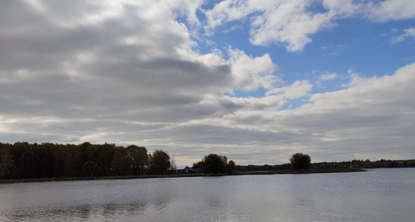 Звезды сулят абсолютный успех: астролог назвал 3 знака Зодиака, кому в третьей декаде ноября крупно повезет