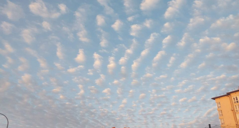 Карьерный взлет и большие деньги: что принесет окончание 2024 года всем знакам Зодиака – точный гороскоп