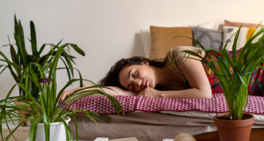 Поставила у кровати эти популярные цветы - сплю как убитая: 3 растения, которые способствуют хорошему сну