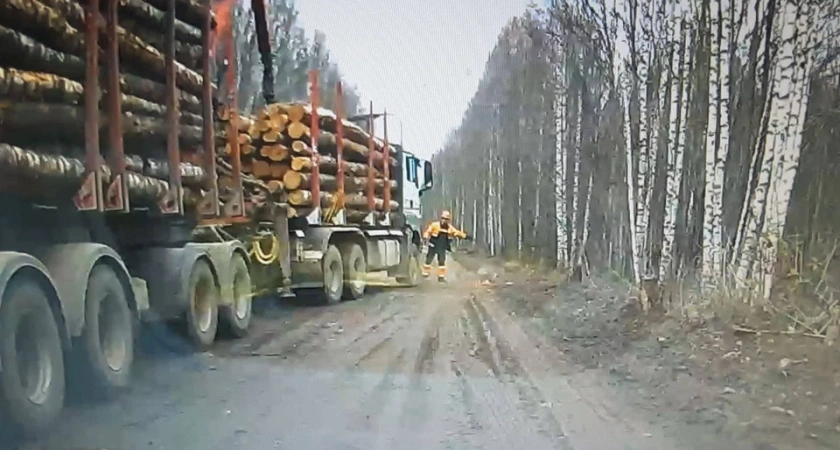 В Костромской области из-за лесовозов ученики лишились школьного автобуса