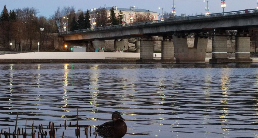 Откроется дверь Удачи: названы 2 знака Зодиака, чьи дела резко пойдут в гору – решение нужно принять 25 ноября