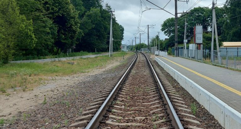 Это величайший дар, которым может обладать человек — Омар Хайям осознал это еще 1000 лет назад