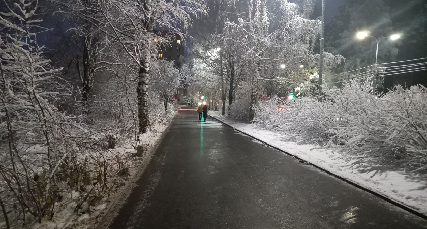 Погодные качели, тепло до марта и минус 40: синоптики обещают крайне странную зиму 2024-2025