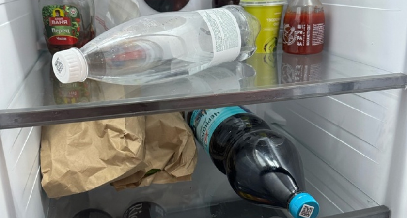 Приходили из ЖЭКа, спрашивали, где деньги: показала бутылку с водой в морозилке - за электричество больше не плачу