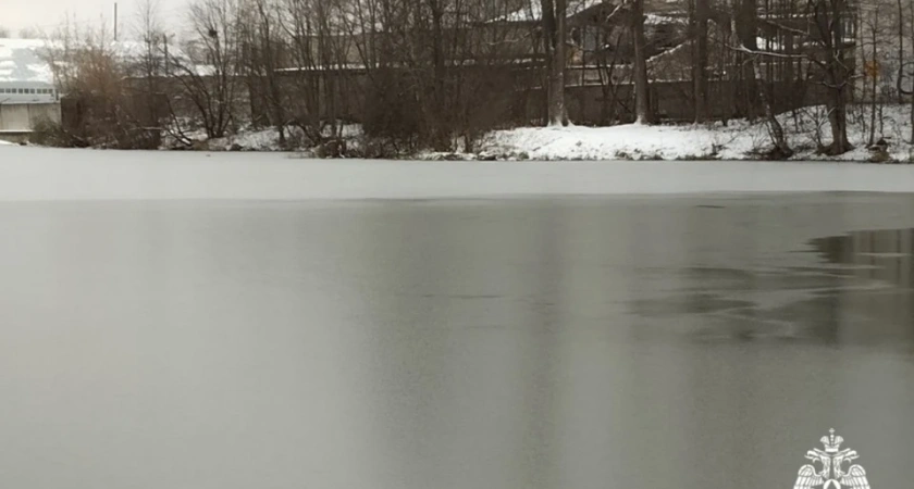 В Костромской области на Горьковском водохранилище отважные рыбаки открыли сезон подледного лова