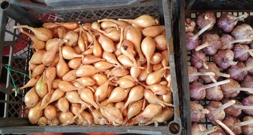 Берём килограмм лука — и несём в ванную: волосы как после ботокса, парикмахеры грустят без работы