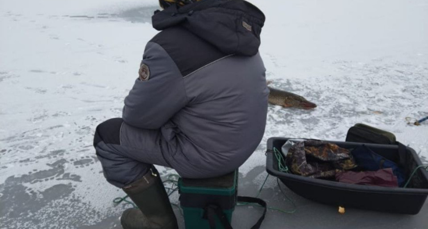За Костромой заметили нескольких рыбаков, которые вышли на тонкий лед