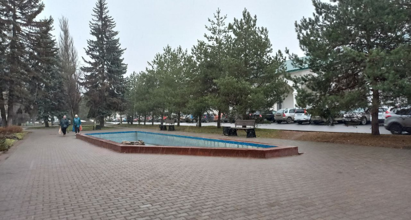 В сквере со слоником в Костроме появится подиум для молодежи