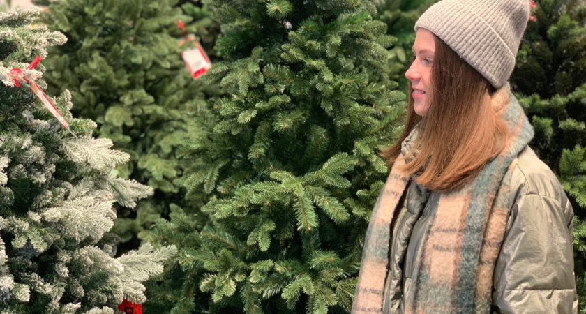 В чем встречать год Зеленой Деревянной Змеи: эти цвета и образы точно привлекут удачу на все 12 месяцев