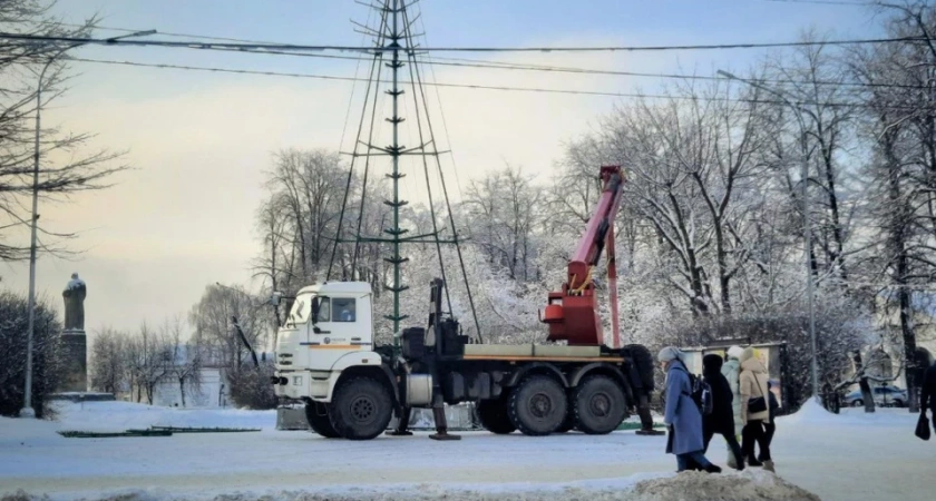 В Костроме главная новогодняя ель вновь будет установлена в сквере Ивана Сусанина