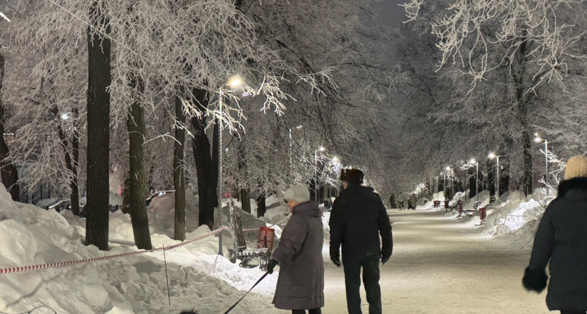 В Костромской области собака без поводка и намордника набросилась на 11-летнего ребенка