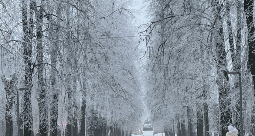 Их пропишут без согласия и ведома собственников: для россиян, у которых есть квартира, готовят пренеприятнейший сюрприз