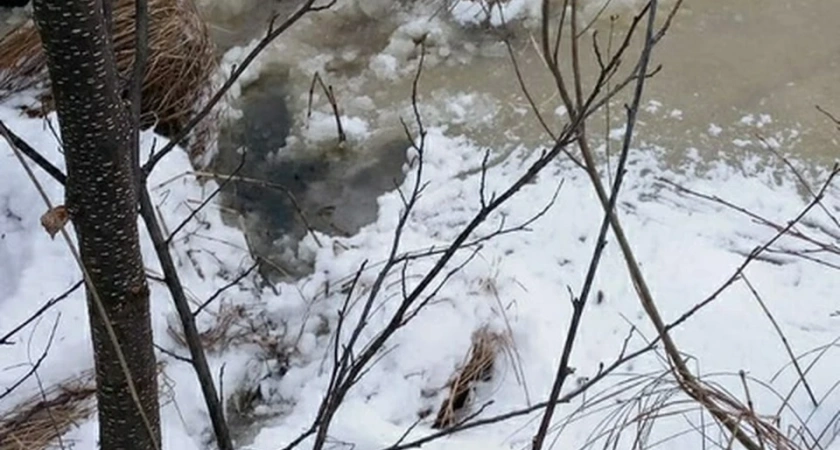 В Костромской области водолазы начали поиск лыжника
