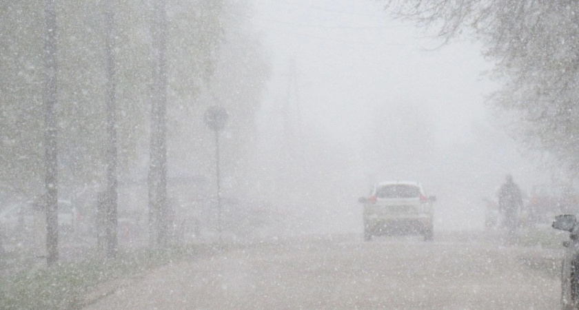 В выходные в Костромской области похолодает до -15°С