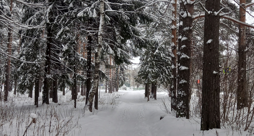 «Январь и февраль устроят нам настоящую подставу». Синоптики сказали, к чему готовиться в новом году