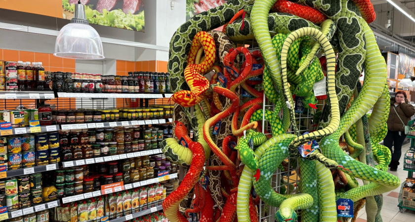 Змея подарит им абсолютное счастье: вот кто в 2025 году будет купаться в любви и деньгах — Восточный гороскоп